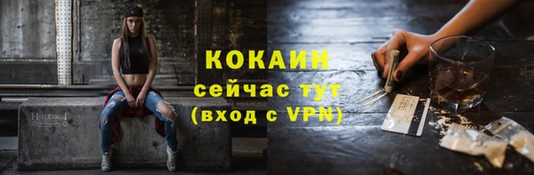 стаф Сафоново