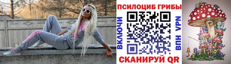 купить   Стерлитамак  Псилоцибиновые грибы Psilocybine cubensis 